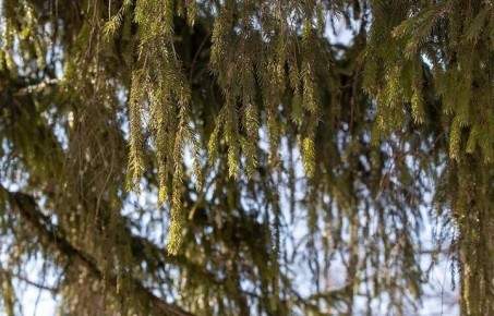 ������ �� 21 �����. ����� ��������: 06:30