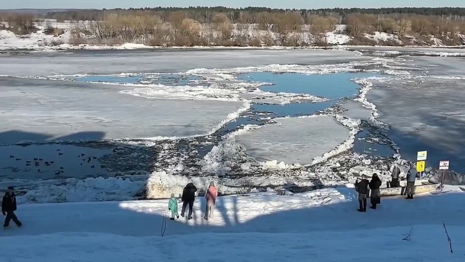 ����� � �������� ������� �������� � �������� ����