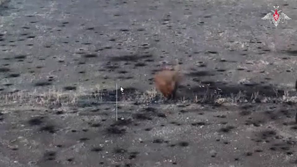 ���������� ������: 00:00 ������ 122-�� ������ ��-30� �������� ����������� ��������� ������ ������ ��� � ������� �������