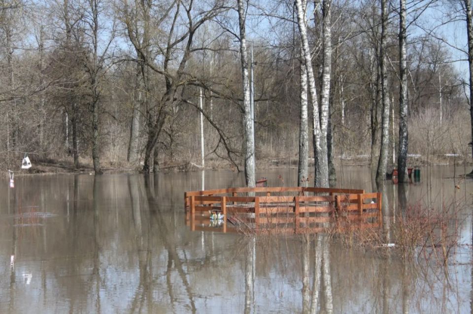 ����� ���������� � �������� � �������� ������� �� 23 �����