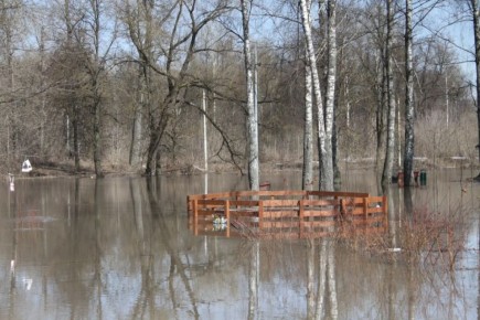 ����� ���������� � �������� � �������� ������� �� 23 �����