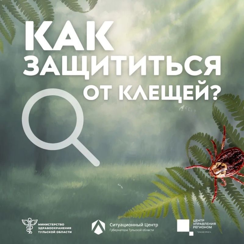 ��������, �����!. � ������������ ����� ���������� ����� �� ����������