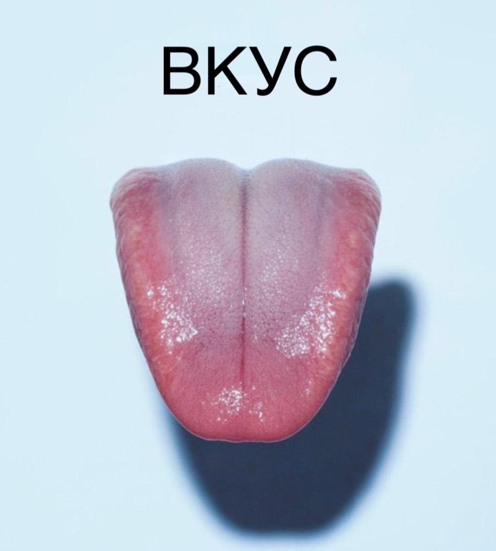 ���� �������� ������: ��� ��� ������ ���� ���������