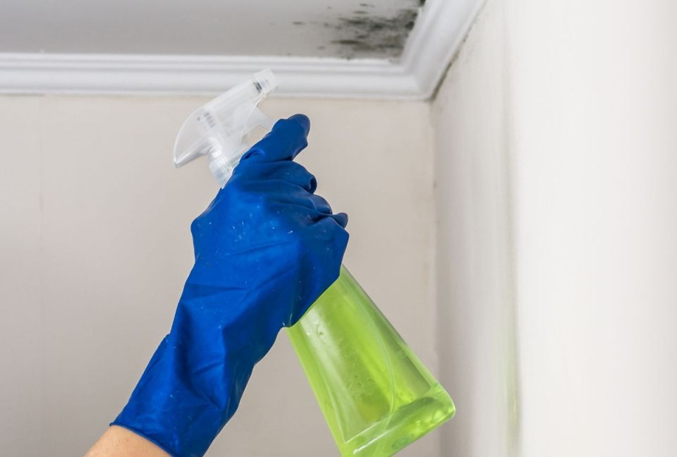 ��� ���������� ���������� �� ������� �� �������: ������ � �������