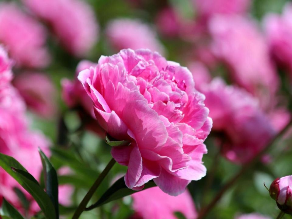 ��� �������� ������ ������: 7 �������� ���������� ����