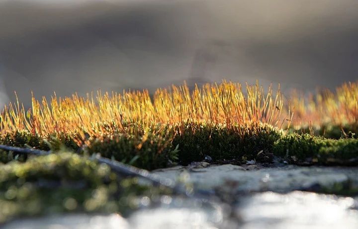 ������ �� 24 �����. ����� ��������: 06:22