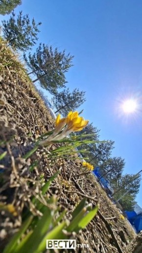 ����� ��� � �����! ����� ��� ��������!