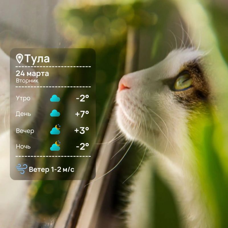 ������ ����. ���� ��������� �������� � ����������� ����������!