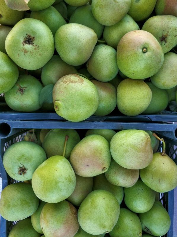 ������� �� ���� � ���������� ��������: ������� ��� ���� �����