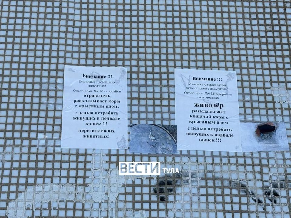 � ��������� ���� ��������, ������� ������������ ����������� ���� ��� �����