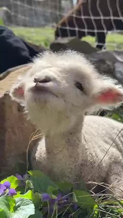 �������� ������ ��� � �����