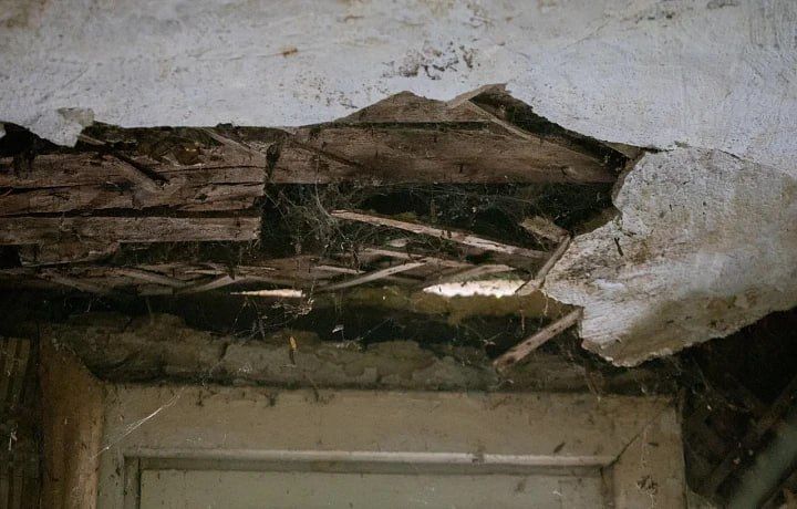 � ���� ������� ����������� ������ 169 �����, ���������� ���������� � 2017 ����