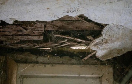 � ���� ������� ����������� ������ 169 �����, ���������� ���������� � 2017 ����