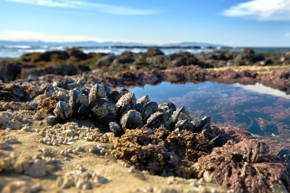 ��� ����� ����� �������� ���� ������������� � �������������