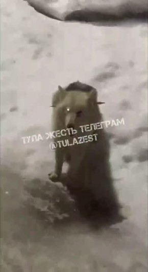 � ������� ������������ ����������� ���������� � ������ �� ��������