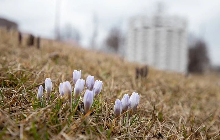 ������ �� 26 �����. ����� ��������: 06:17