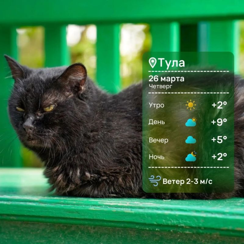 ������ ����. ��� �������