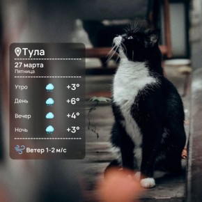 Доброе утро. Сегодня обещают слабый дождик, но пусть он не испортит вам планы