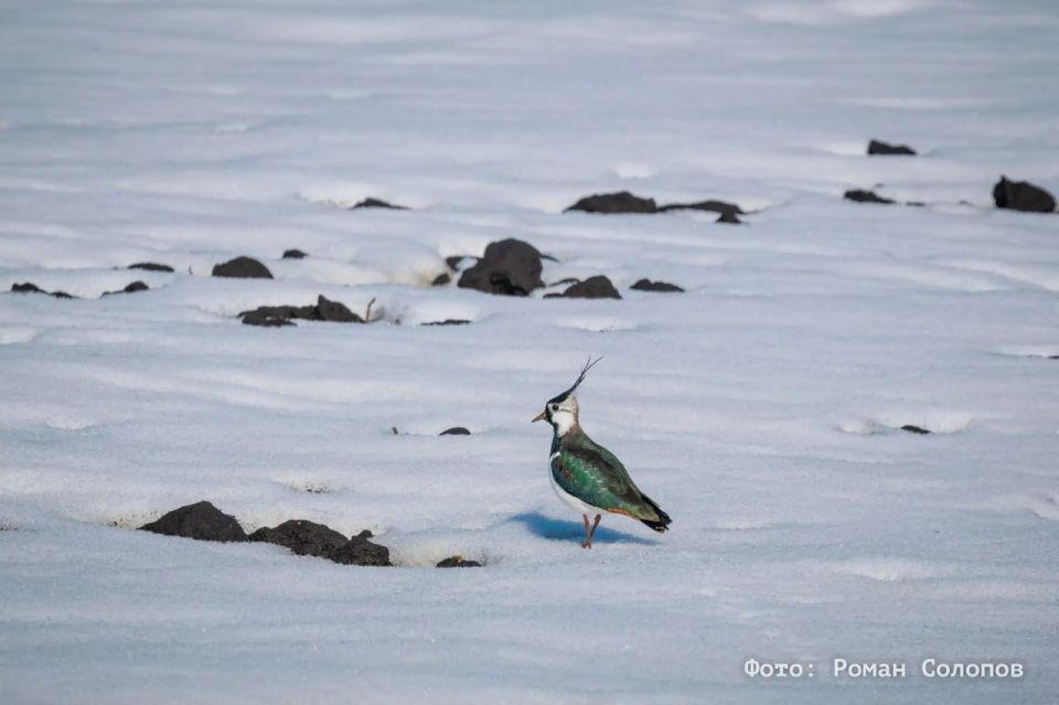 ��� ���������: ������ ��������� ����� ������� �� �������� ����