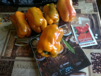 ��� ������ ������ �������� �����: ��� ���������� ����������� � ���� ����