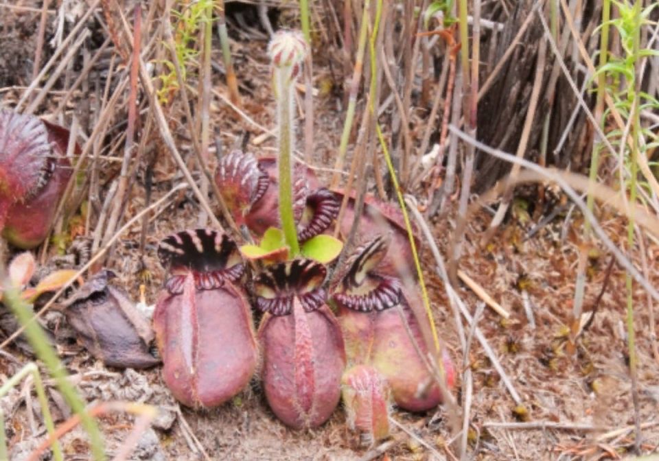 �������: ���������� ������ � ������������� �����