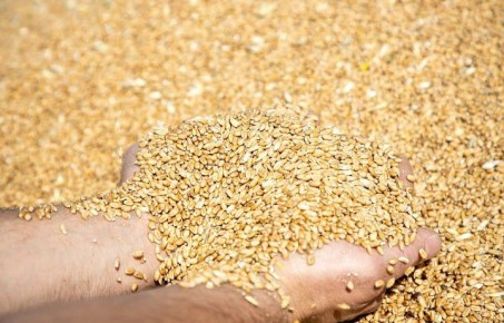 ���������������� ����������� ���������� �� 540 ���� ������� �� ������������ ������