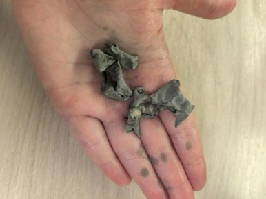 �������, ������ � ���������: �������� �������� ����� � �������� ����� ����� ����