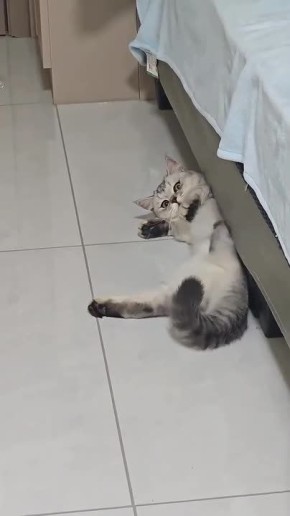 Когда начальник спрашивает, кто сможет поработать в выходные