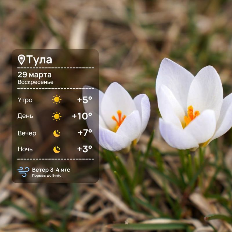 Доброе утро. Сегодня нас ждет теплая и солнечная погода