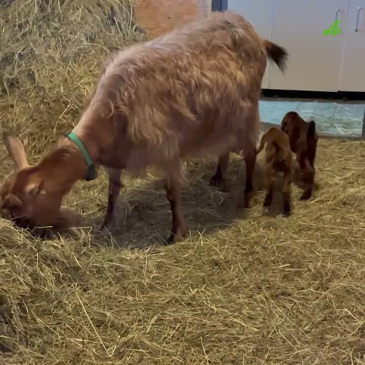 �������� ���Ի ������� ���� �����! ������� ������ ����� ������� ��������� �������