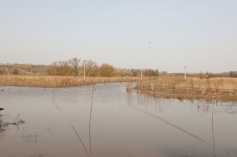 �������: ����������� ����������