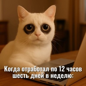 ��������� ������� ������� �������� �� 12 ����� ����� ���� � ������