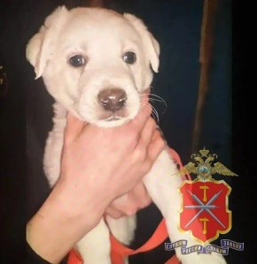 ����� �����, ���� ����: � ������������� ���������� �������� � ����� �������� � ����� ����� ���������