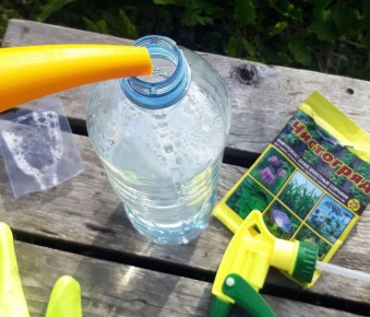 ������������� ��������� � ������ � ���������: ��� ���������� �����������