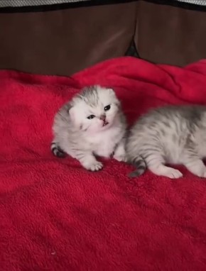 Какой понедельник? Я не хочу никаких понедельников