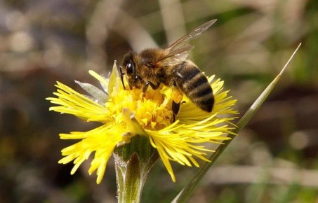 Погода на 30 марта. Время рассвета: 06:07