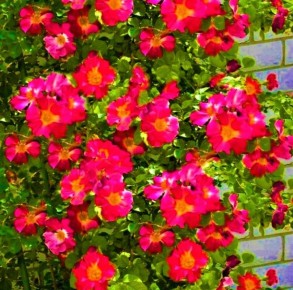 ���������� ����� ��������� ����, ������� ������ ���������� ������ ����