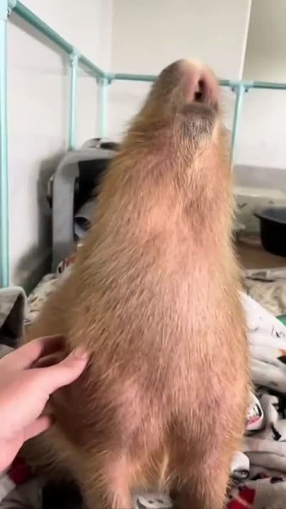 ������ �� ������ ���������, � �� ��� ��� ��� ��