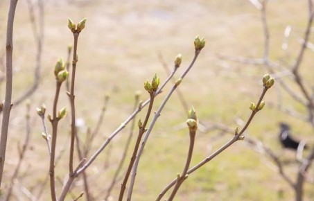 ������ �� 31 �����. ����� ��������: 06:05