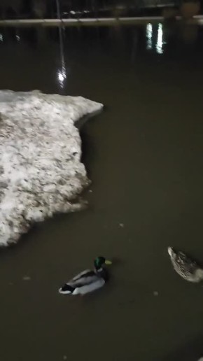 А Баташевский парк становится похож немного на Венецию