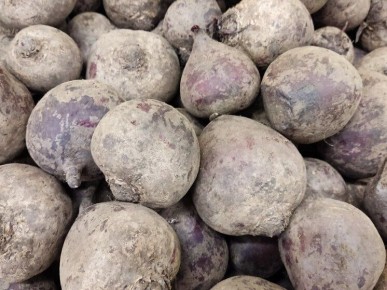 ���������� ��������� ����� ������: ������� �� �����������