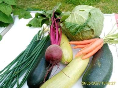 ��� ��������� ��������� �������� ��� �����: ������ ��������