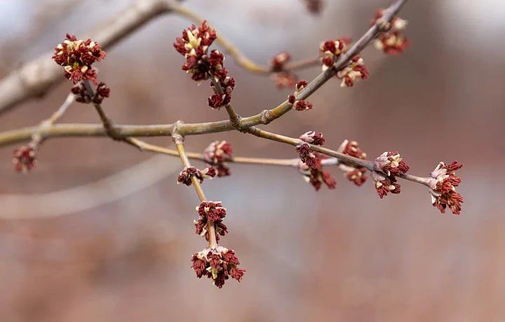 � �������� ������� �������� ��������� ������� ��������� ��-�� ����������� �����