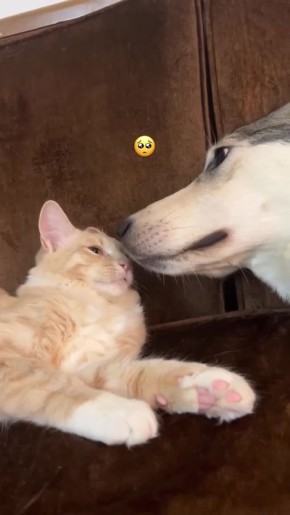 ������� � ���, ����� ���� �������� ������� ������