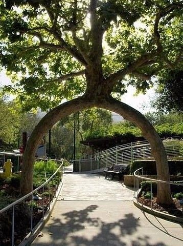 ������������ ��������, ������� ������� ���� ������������� � �������