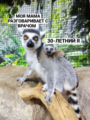 � �������� ����������� �������� ������� �������� �������