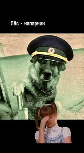 #��� #��������� #������� #������������� #Police #RussianPolice #Russia #���������������