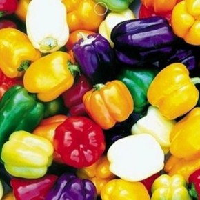 ������ ���������� ������������ ������ ������������ �����: ����������� ������������