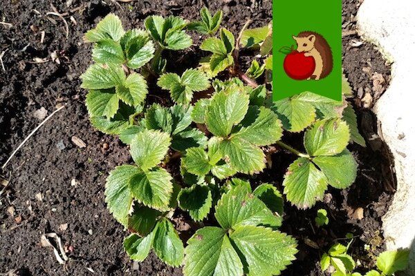 ����� � ��� ��������� ���������� �������� ������