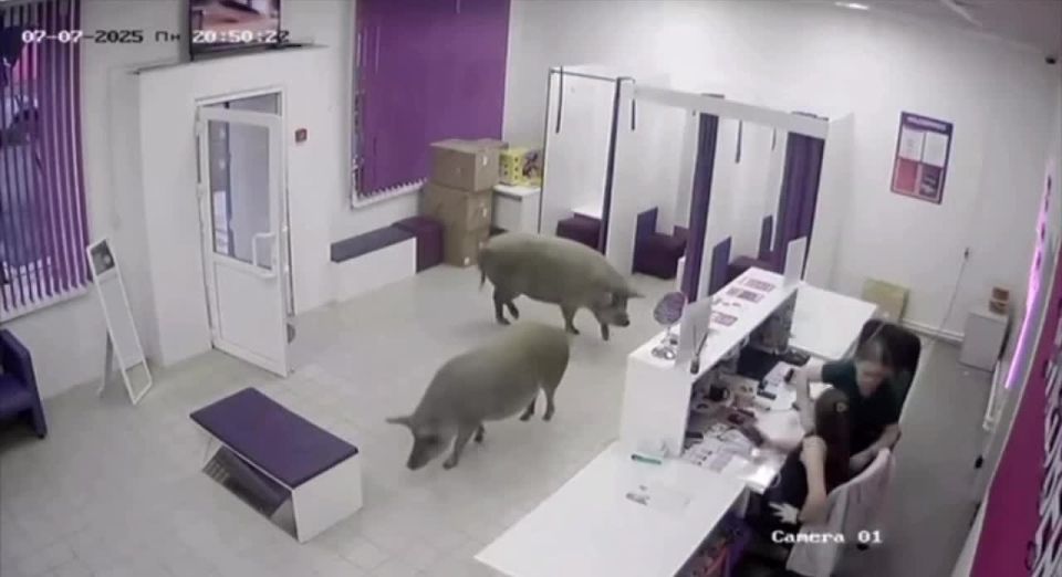 �������� ���� � ����������� ������